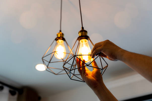 Best Home Electrical Repair  in Pecatonica, IL