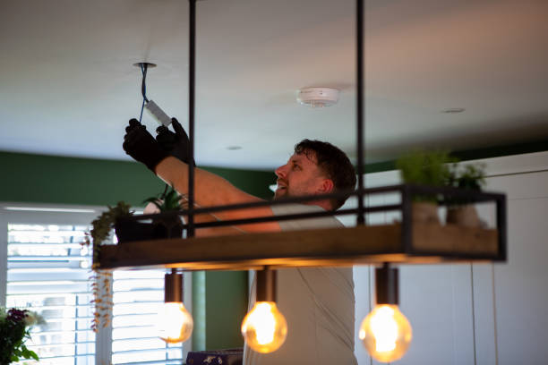 Best Licensed Electrician  in Pecatonica, IL